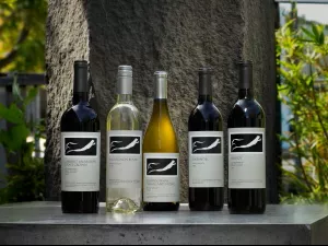 2020 Frogs Leap Zinfandel - 750ml
